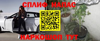дурь Нягань