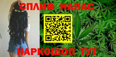 ECSTASY Обь