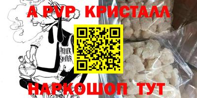 ECSTASY Обь
