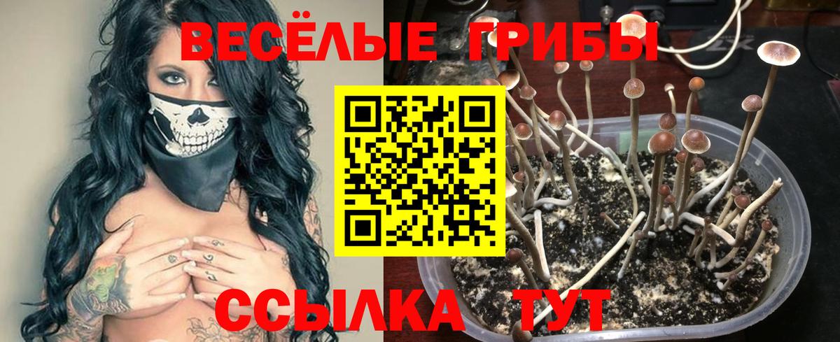 Псилоцибиновые грибы прущие грибы Фурманов